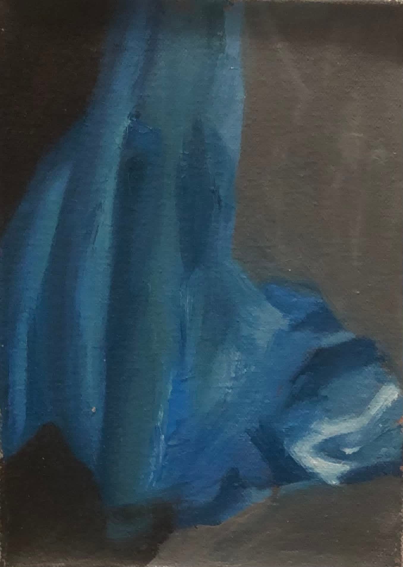 Draped Fabric Oil Paint Study