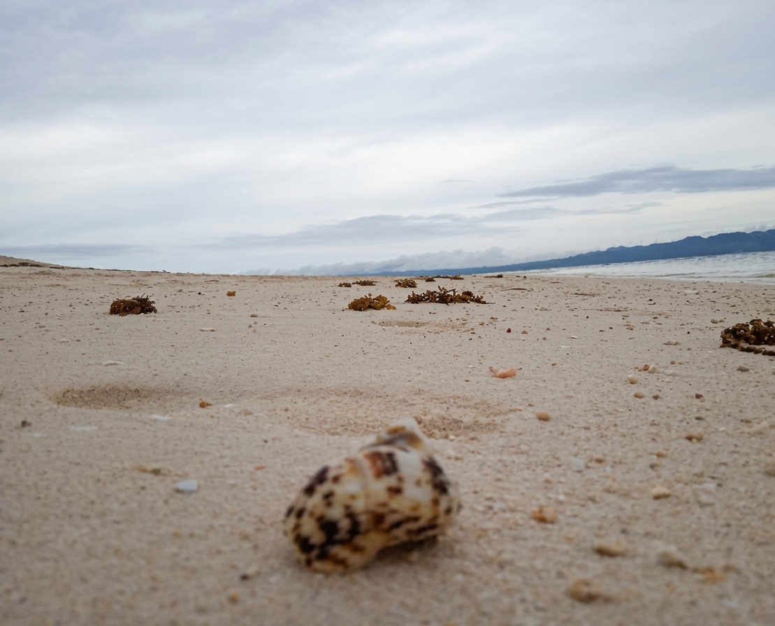 Sea escape #2