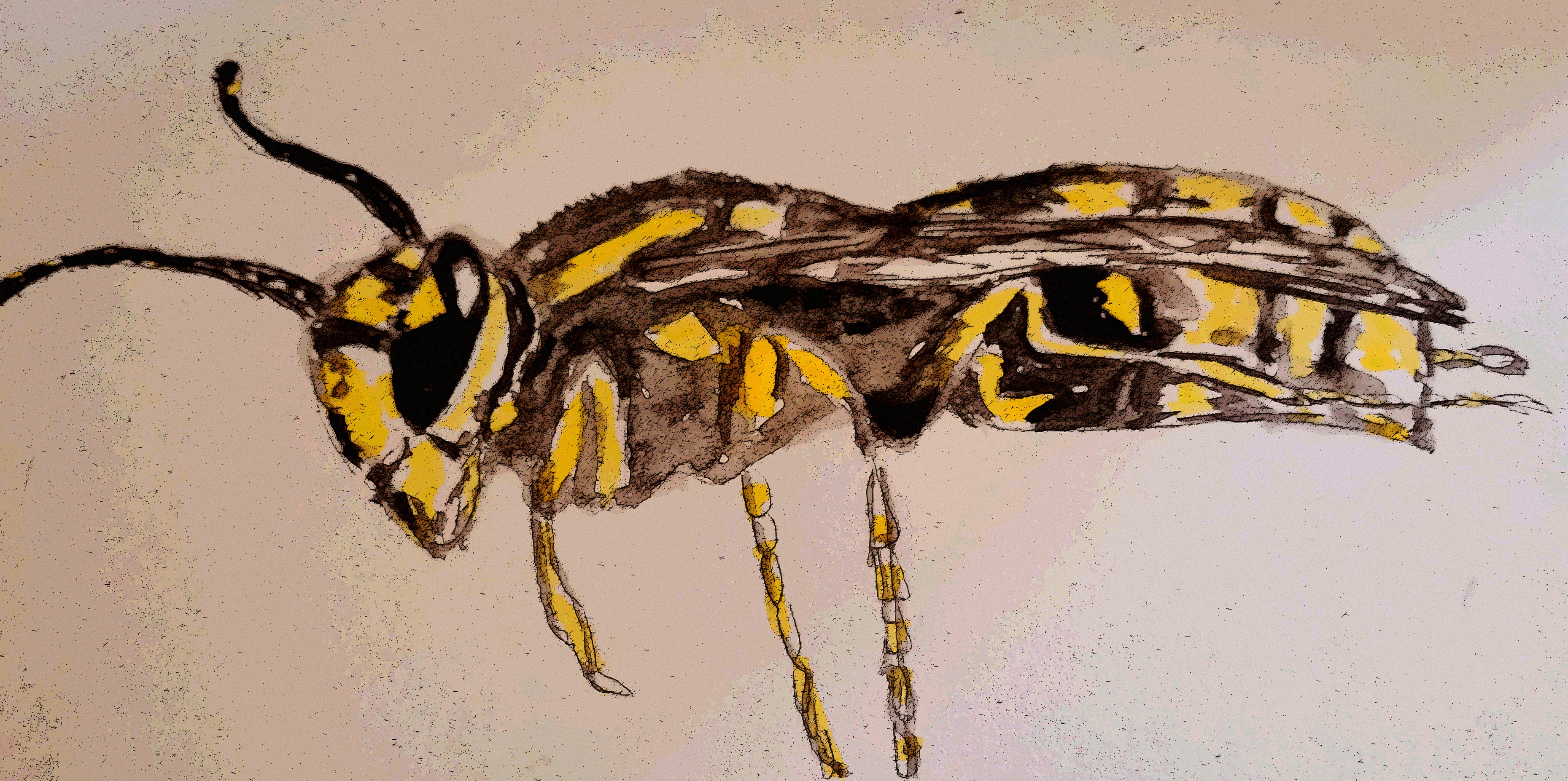 Noonelikemeidontcare